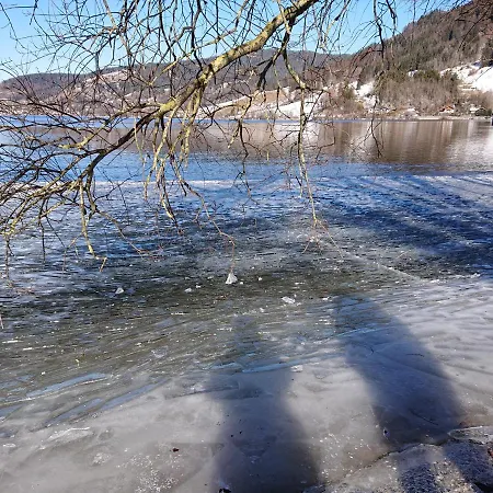 Haus-brecherspitzblick 슐리에르시