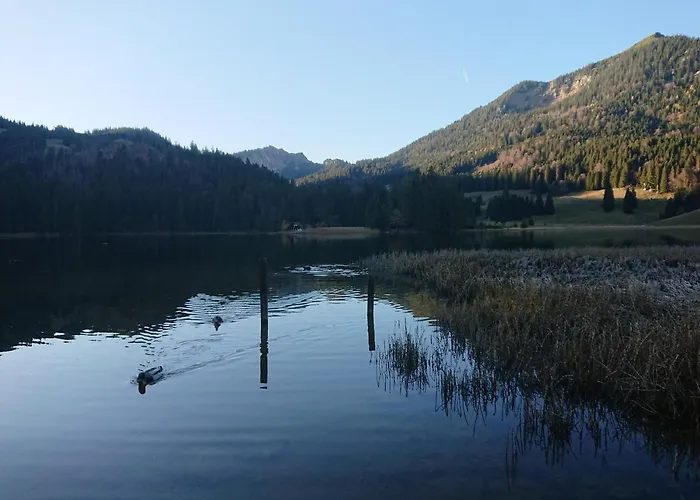 Haus-brecherspitzblick Apartmán